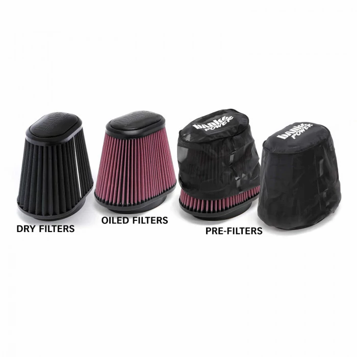 Banks Power® - Ram-Air Cold-Air Intake System Dry Filter 04-08 Ford 5.4L F-150 Ford F-150