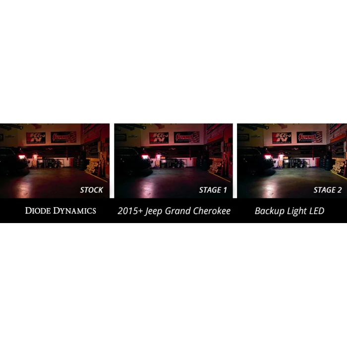 Diode Dynamics® - Stage 2 Backup Bulbs
