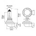 Hella® - H8 Standard Series Halogen Light Bulb