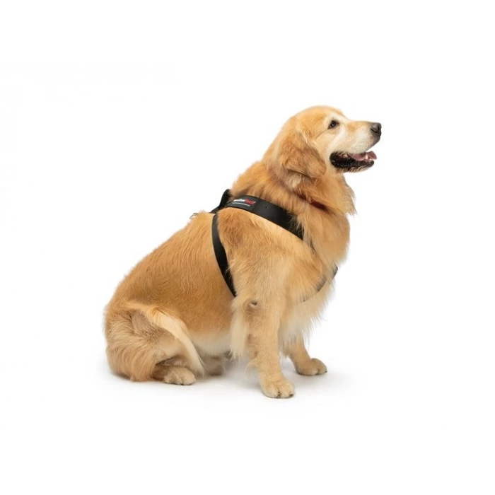 Weathertech® - M Pet Safety Harness